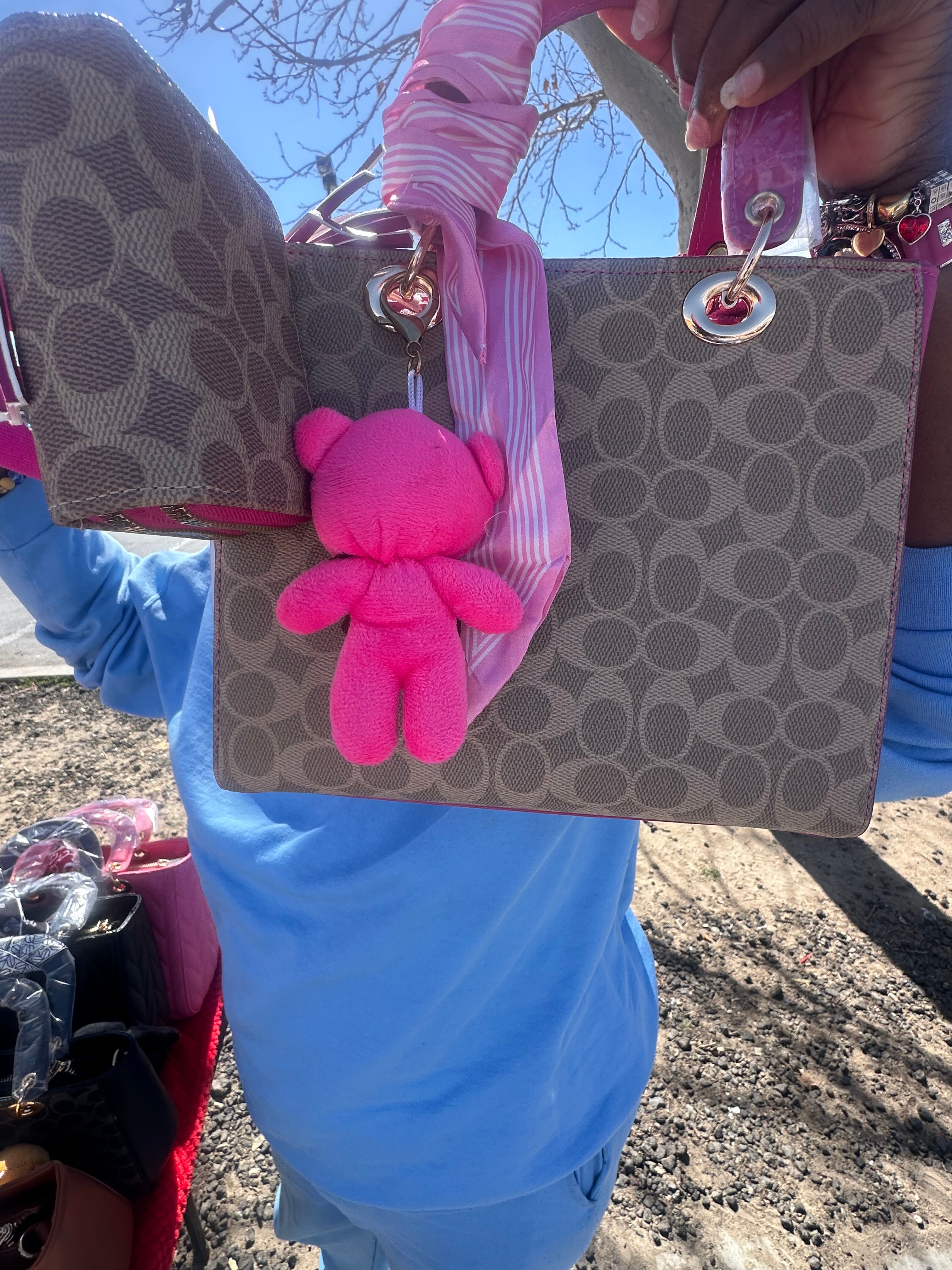 Pink and Brown 2 pc Bag